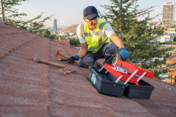 Fascia and Soffit Installation